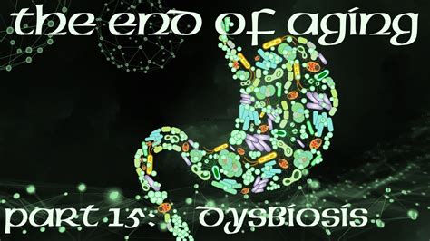 The End Of Aging Part 15 Dysbiosis Youtube
