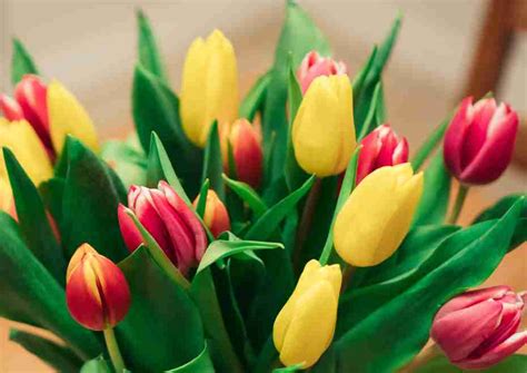 Send Easter Flowers Internationally Easter Brings Joy To