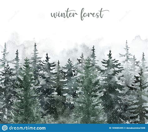 Watercolor Winter Pine Tree Forest Background Hand Painted Conifer