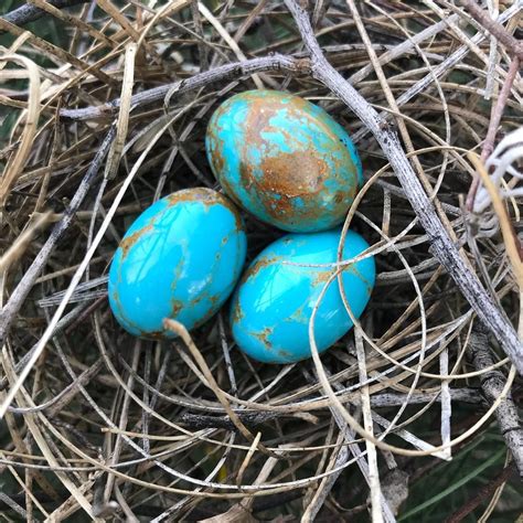 Thanls for sharing… my brother get married next week, we are so happy. Robins egg blue 🐦 • • • #gem #rockhound # ...