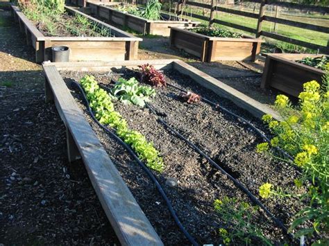 Maybe you would like to learn more about one of these? The Farmer Fred® Rant: Drip Irrigation vs. Drip Irritation