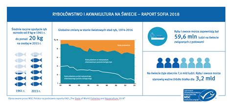 Na świecie Spożywa Się Coraz Więcej Ryb Poradnik Handlowca