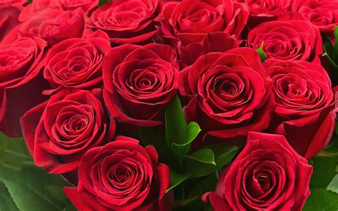 Czerwone Róże W Bukiecie