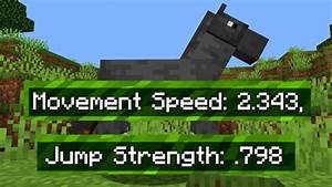 The Quickest Way To See A Horse 39 S Stats In Minecraft No Mods