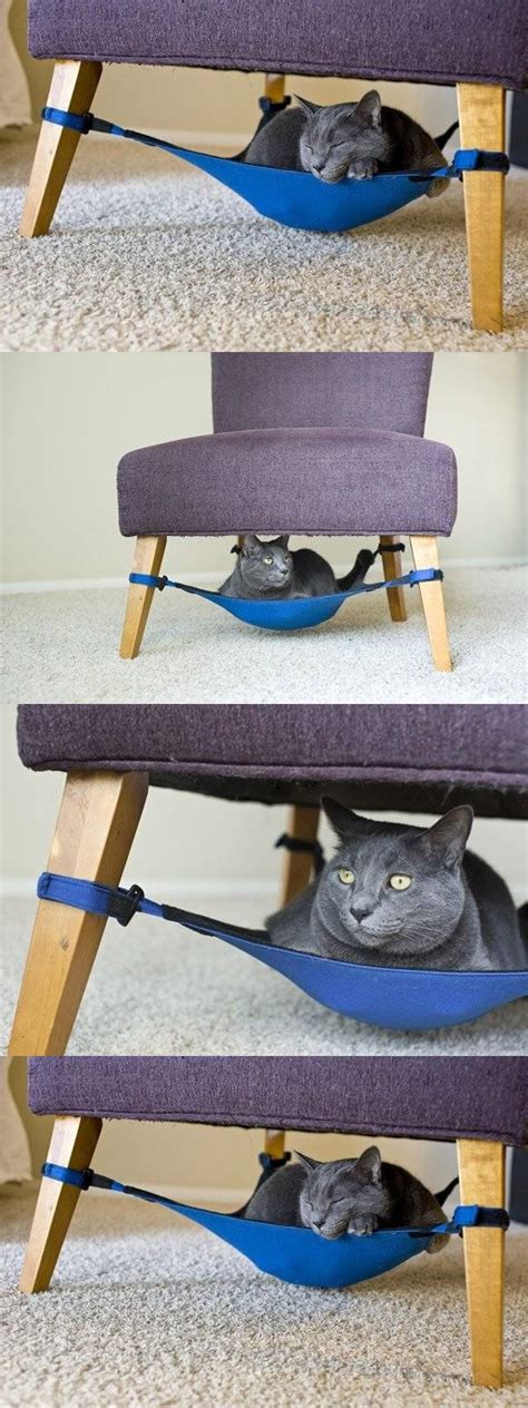 They are especially useful during kitten season. DIY Hammock for Cat Idea DIY Projects | UsefulDIY.com