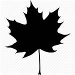 Leaf Maple Icon Fall Autumn Canada Canadian