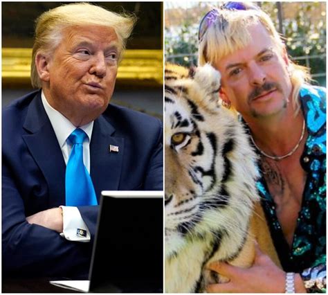 donald trump says he ll ‘take a look at tiger king star joe exotic s prison sentence huffpost