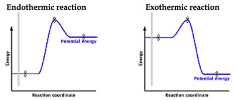 Reaction Coordinate Diagram Exothermic Wiring Diagram Pictures