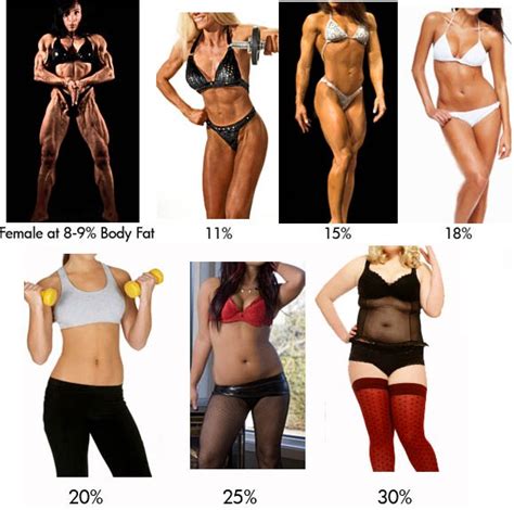 Check Your Body Fat Percentage Online Body Fat Percentage Calculator For Women Men