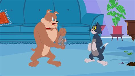 The show made its worldwide debut on teletoon on march 1st, 2014, and aired on april 6th, 2014 on cartoon network in the u.s. TV Time - The Tom and Jerry Show (2014) (TVShow Time)