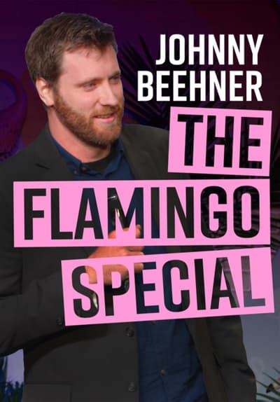 Watch Johnny Beehner The Flamingo Special 2017 Free Movies Tubi