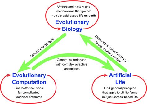 A Framework For Evolutionary Systems Biology Bmc Systems Biology