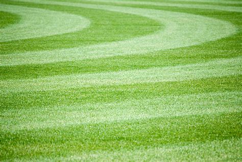 3200 Baseball Field Grass Stock Photos Pictures And Royalty Free