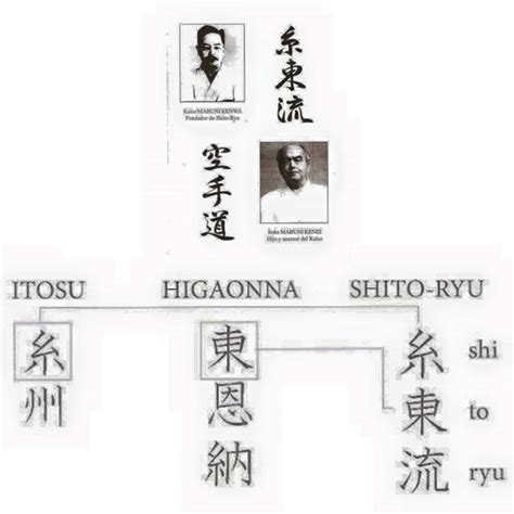 Shito Ryu History Karate Y Algo Más