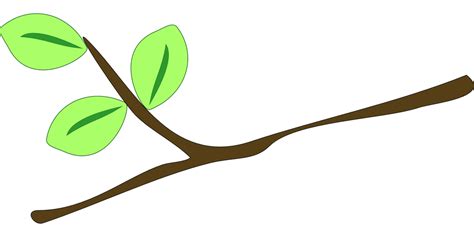 Branch Leaves Twig Free Vector Graphic On Pixabay
