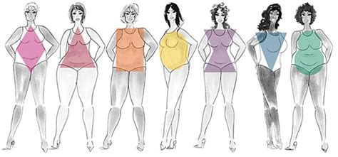 the curvy and the curveless male and female body types guidelines tt