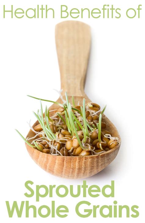 Barley is a versatile grain, packed with vitamins, minerals and other beneficial plant compounds. Health Benefits of Sprouted Whole Grains | L'Chef - We are ...