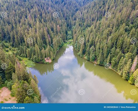 Aerial View Of Synevyr Lake In Ukrainian Carpathian Mountains Stock