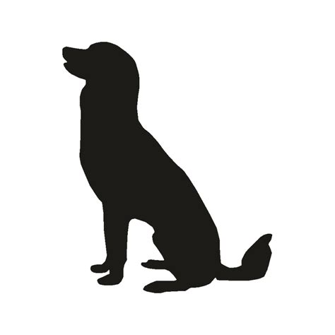 Pet sitting Labrador Retriever Puppy Golden Retriever Beagle - puppy png download - 800*800 ...