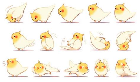 Bird Cute And Anime Image Animal Drawings Cute Animal Drawings