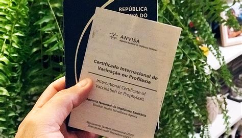 Entenda o que é esse certificado e quais países que o exigem. Como emitir o Certificado Internacional de Vacinação pela ...
