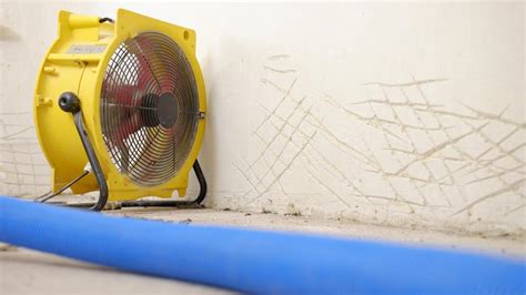 Tips for using a hisense dehumidifier. At What Humidity Level Should One Set a Dehumidifier ...