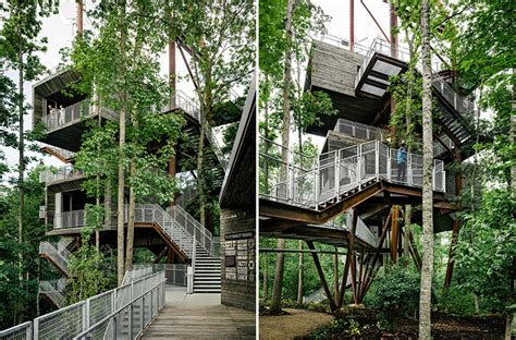Mithun Erects The Sustainability Tree House In The Dense Forest Of West