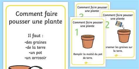 Faire Pousser Une Plante Tout Seul Rend Un Enfant Fier De Lui Utilisez