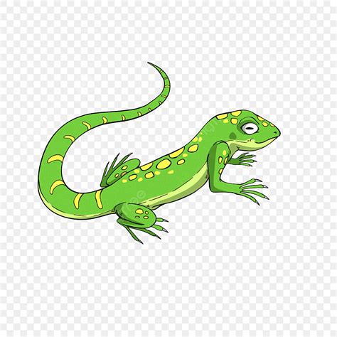 Spotted Lizard Clipart Transparent Background Cartoon Style Spotted