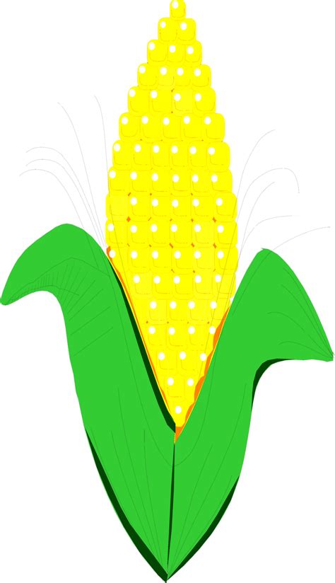 Corn clipart black and white png transparent png. Corn Clipart - Clipartion.com