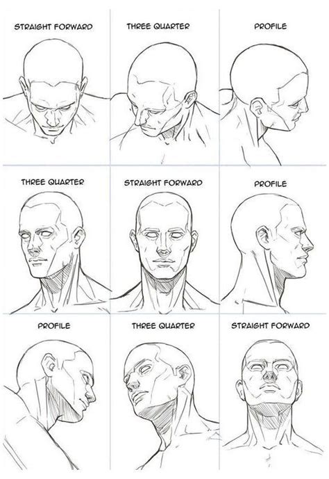 Head Face Human Face Proportions Head Face Neck Drawing Proportions
