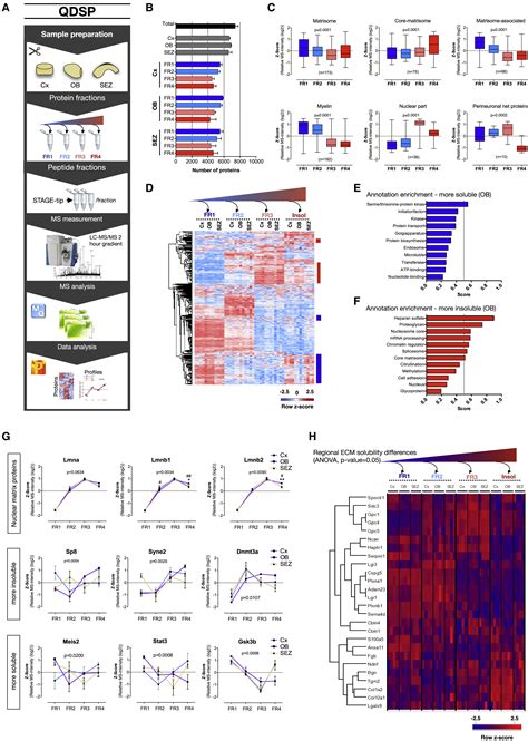 Defining The Adult Neural Stem Cell Niche Proteome Identifies Key