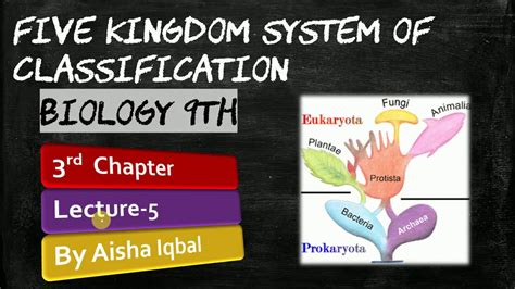 Five Kingdom Classification Biology Class 9 Youtube