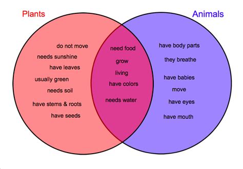 What are the differences between plant and animal cells? Plant And Animal Cell Comparison Tattoo - Cliparts.co