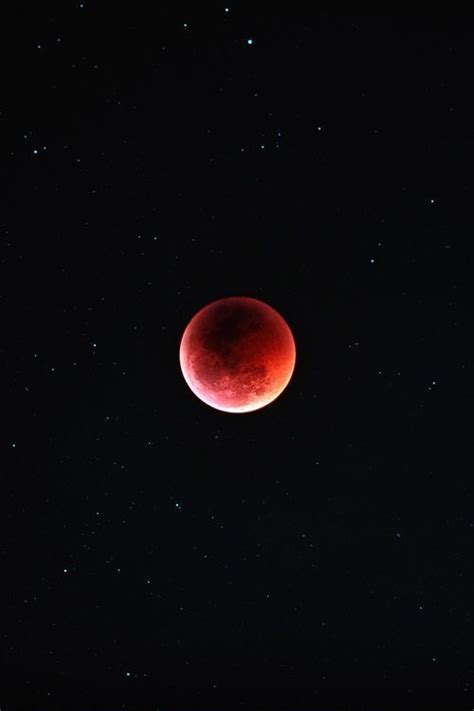 They totally blocked the moon's eclipse!!!! Aesthetic Sharer ZHR on in 2020 | Beautiful moon, Shoot ...