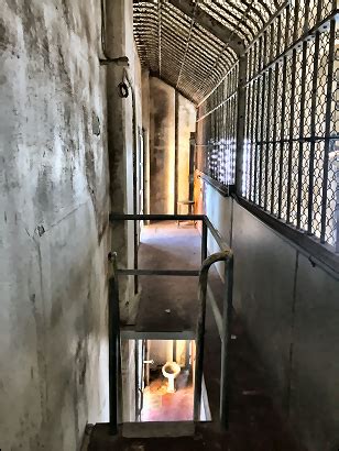 The metal detector is an informational accessory which informs the player about valuable objects, such as ores, chests, or life crystals, in their vicinity. The History of Alcatraz