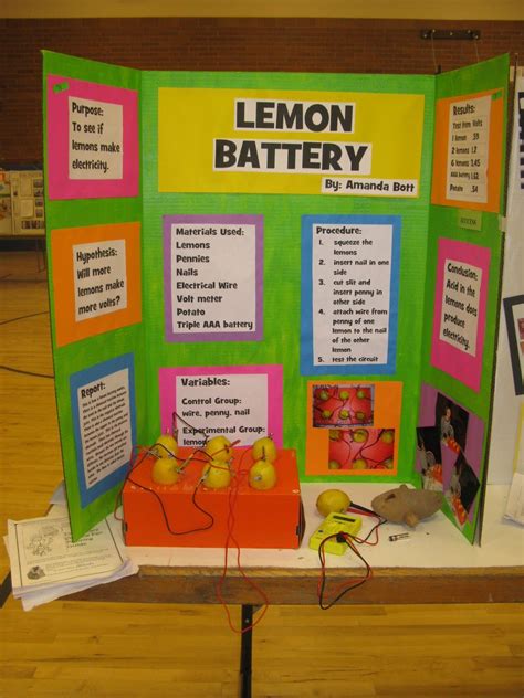 Good Science Fair Projects For 6th Graders