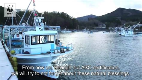 The Story Of Miyagi Prefecture Fisheries Cooperative Oyster Farm In