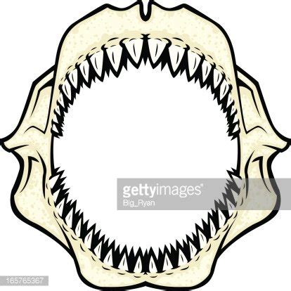 Shark Jaws Stock Clipart Royalty Free Freeimages