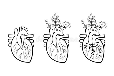Dibujo De Un Corazon Con Flores