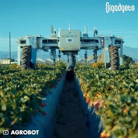Agrobot E Series Robotic Strawberry Harvester This Machine Makes