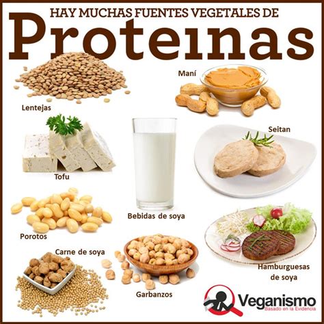 Fuentes De Proteínas Vegetales En La Dieta Vegana Y Vegetariana