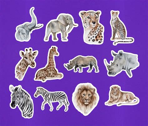 Set Of 12 Zoo Animal Sticker Pack Mini Stickers 2 On Etsy Canada