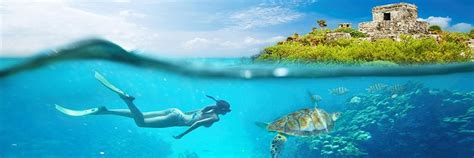 Best Tours And Excursions In Cozumel Mexico Cozumel Adventure Tours