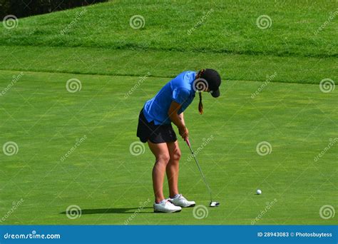 Golfer Putting Stock Image Image Of Ball Palm Golfer 28943083