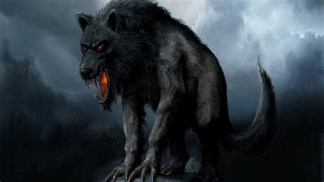 Werewolf Images And Wallpapers 74 Images
