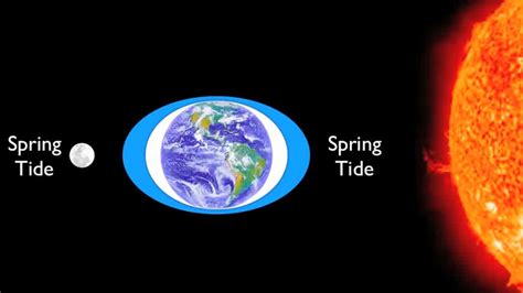 Spring Tide Vs Neap Tide Youtube