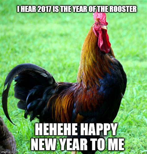 Year Of The Rooster Imgflip