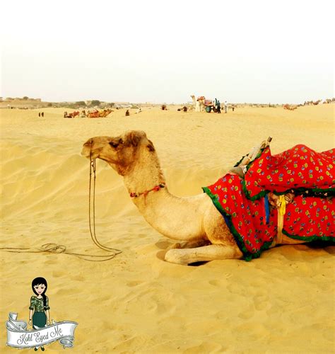 I always say that drawing animals is often a bit. Why you must do a Camel Safari in Jaisalmer | Kohl Eyed Me