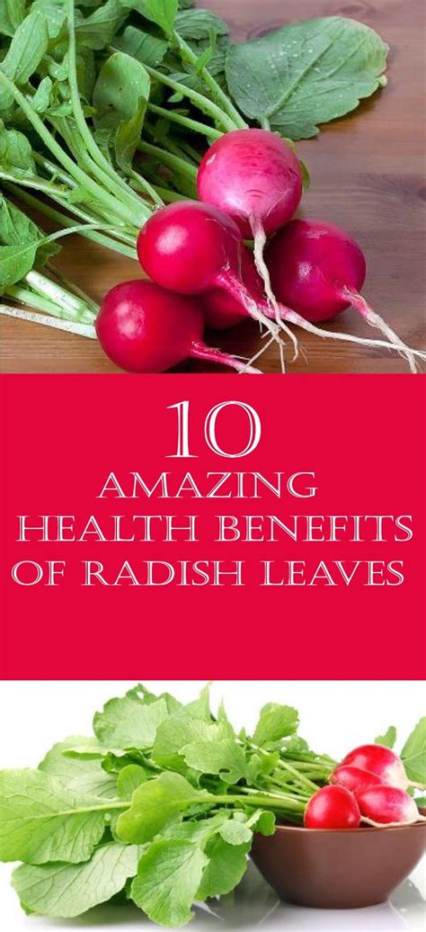These root vegetables also have a good amount of vitamin c, which acts as an antioxidant to protect your cells from damage. 10 Amazing Health Benefits Of Radish Leaves | Health ...